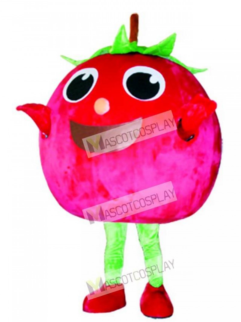 Red Tomato Mascot Costume Fruit