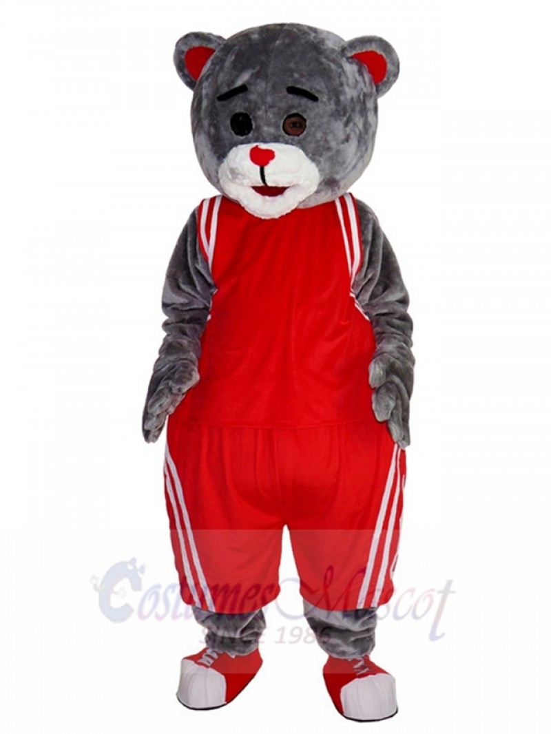 bear mascot costume