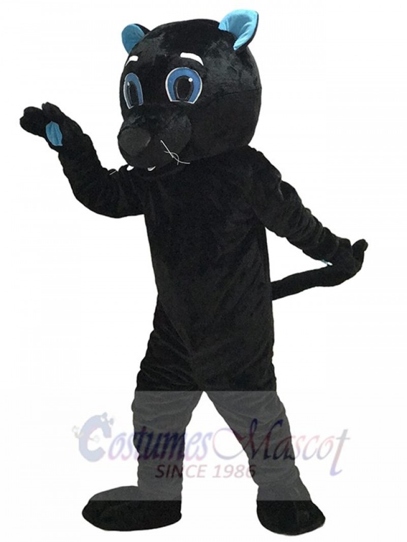 Sir Purr of the Carolina Panthers Mascot Costume Black Panther