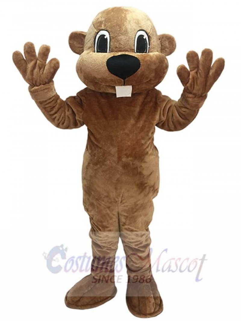 Alex the Beaver Mascot Costume Animal