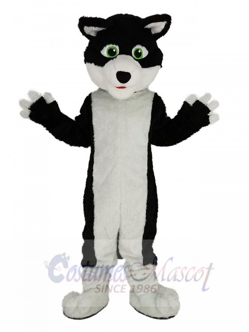 Black and White Border Collie Dog with Green Eyes Mascot Costume