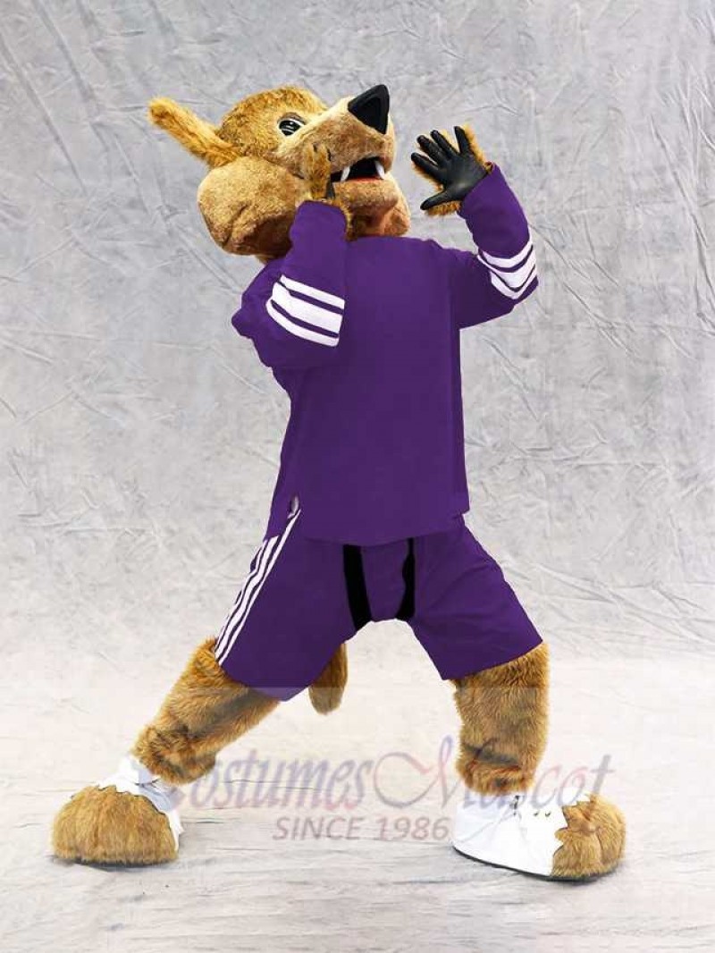 Coyote mascot costume