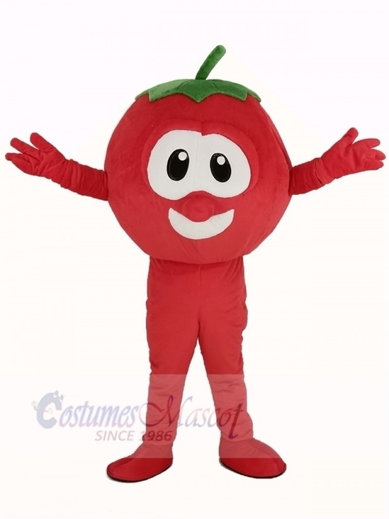 VeggieTales Character Tomato Bob Mascot Costume Cartoon