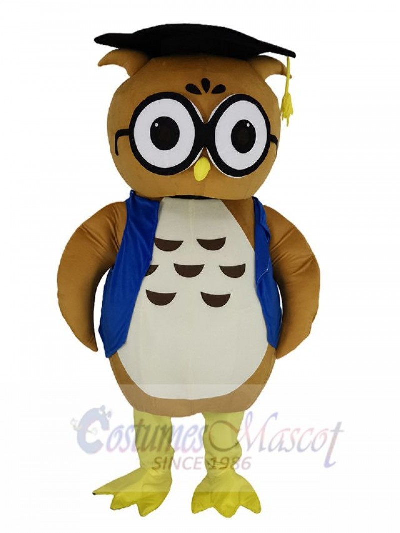 Owl mascot costume