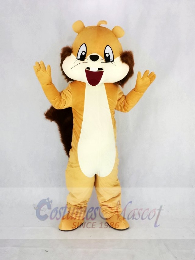 Cute Brown Squirrel Mascot Costume Cartoon