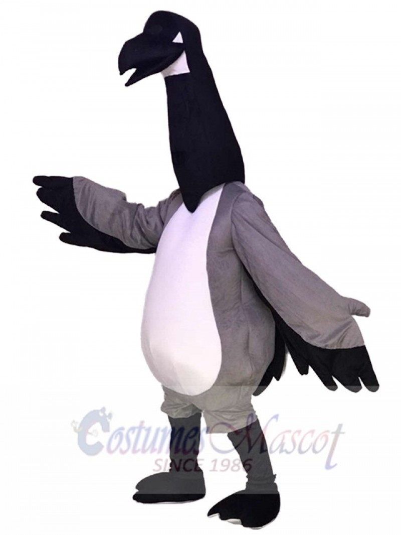 Black Head Canada Goose Mascot Costumes