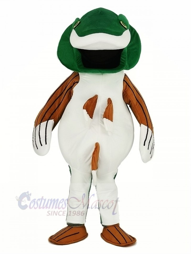 Green Bass Fish Mascot Costume Cartoon