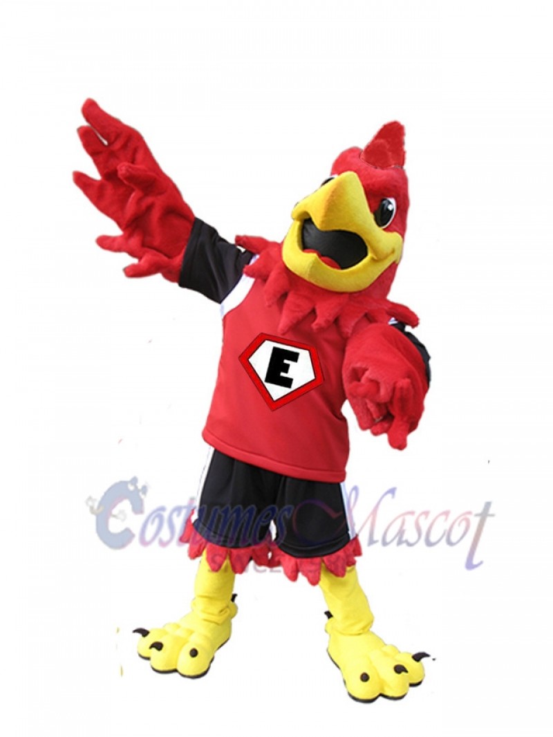 Eagle mascot costume