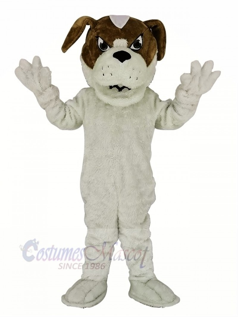 Saint Bernard Dog Mascot Costume Cartoon