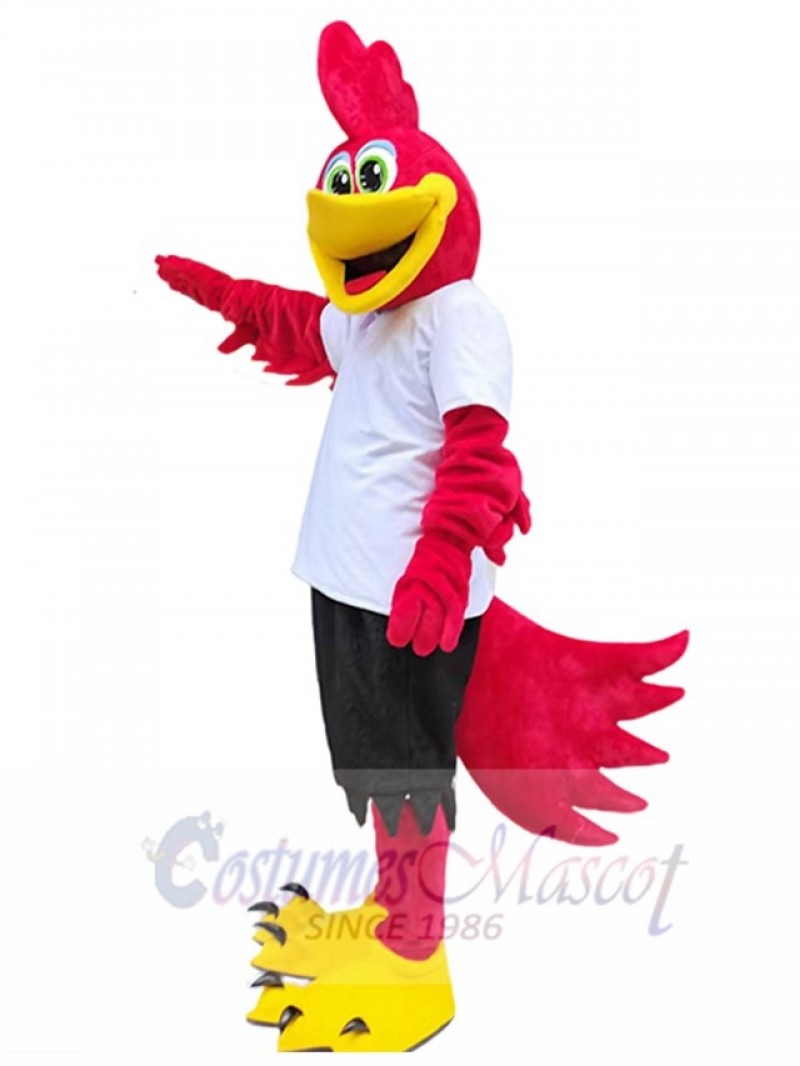 Roadrunner Bird mascot costume