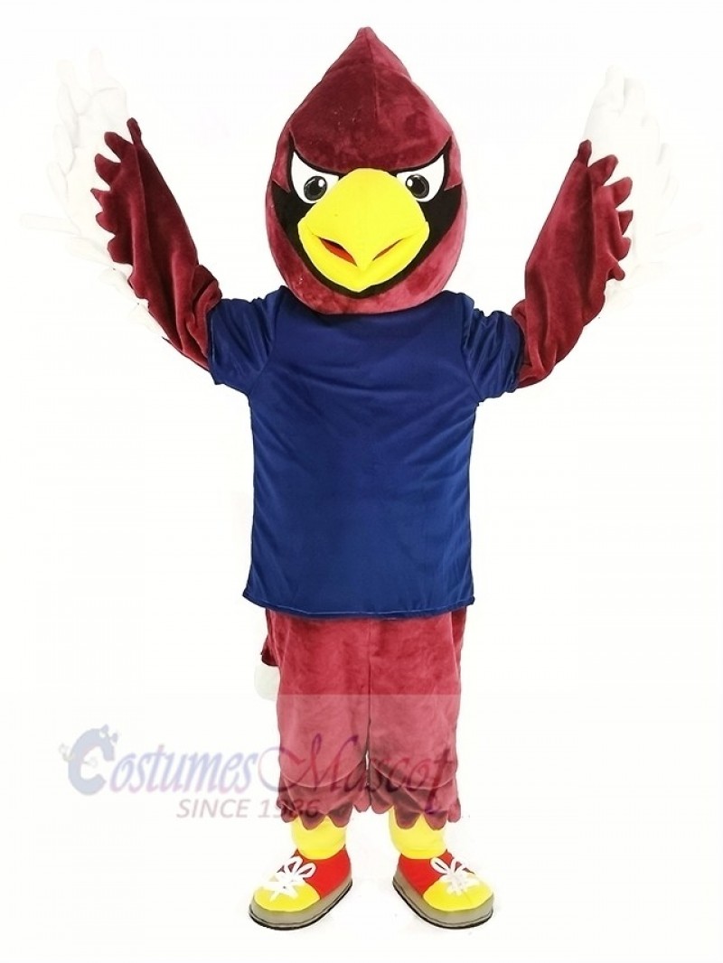 Red Cardinal Bird in Dark Blue Shirt Mascot Costume
