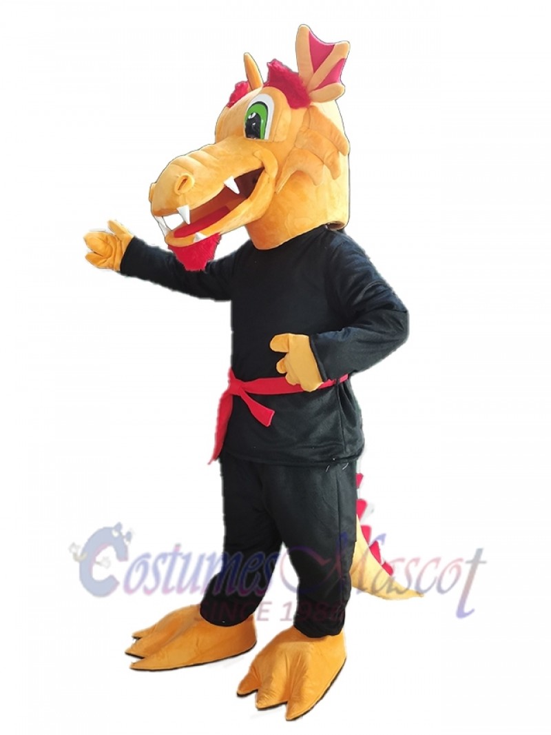 Dragon mascot costume