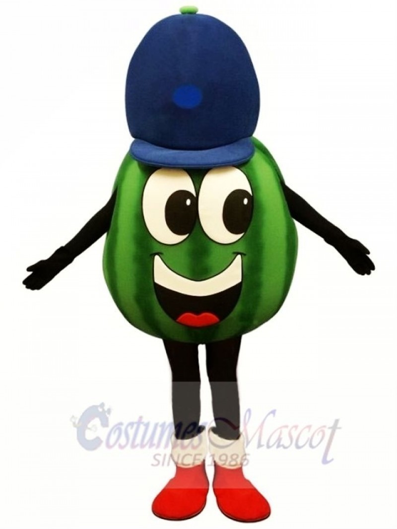 Madcap Watermelon Lightweight Mascot Costume 