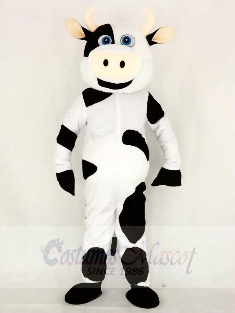 Realistic Cute Cow Mascot Costume School 