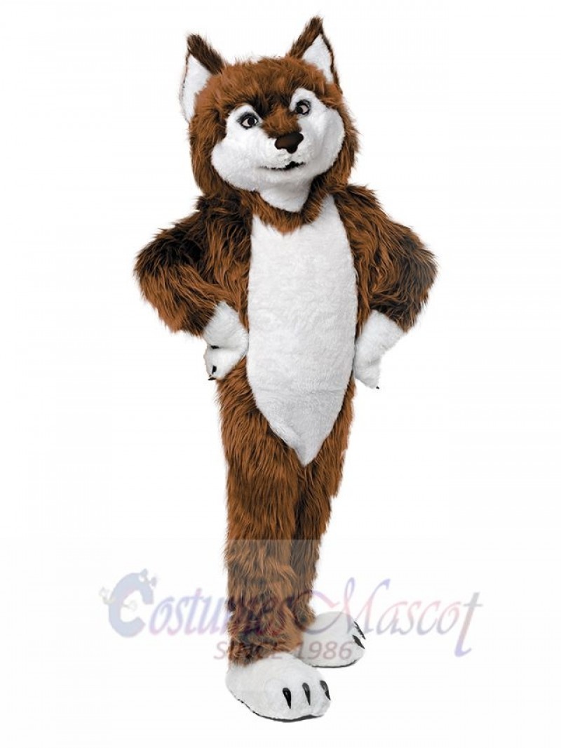 Wolf mascot costume