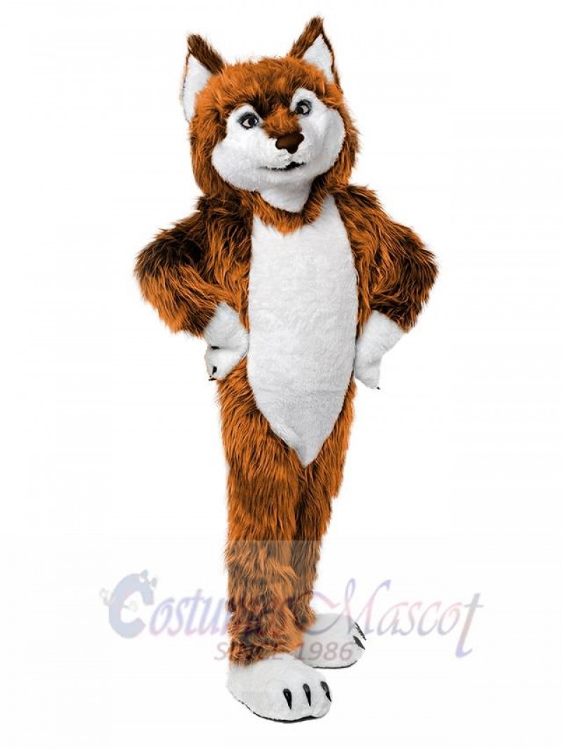 Wolf mascot costume