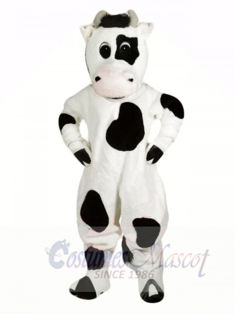 Funny Black and White Cow Mascot Costumes Animal