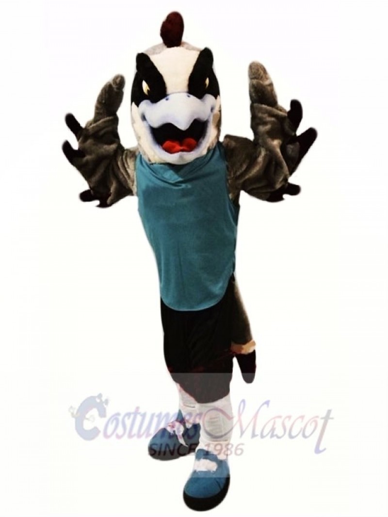 Sport Falcon Mascot Costume 