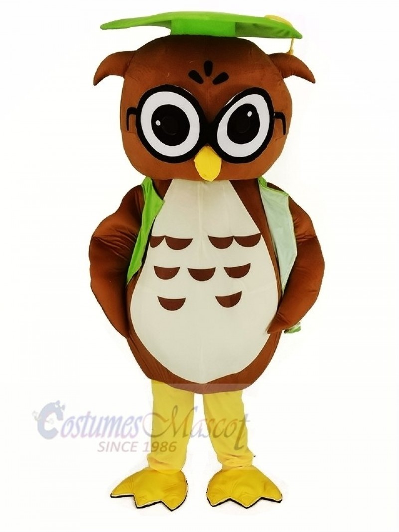 Brown Owl with Green Graduation Cap Mascot Costume Animal