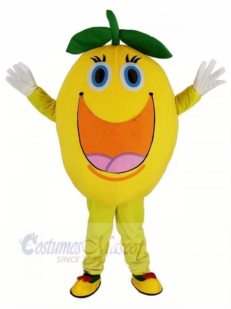 Cute Round Orange Mascot Costume