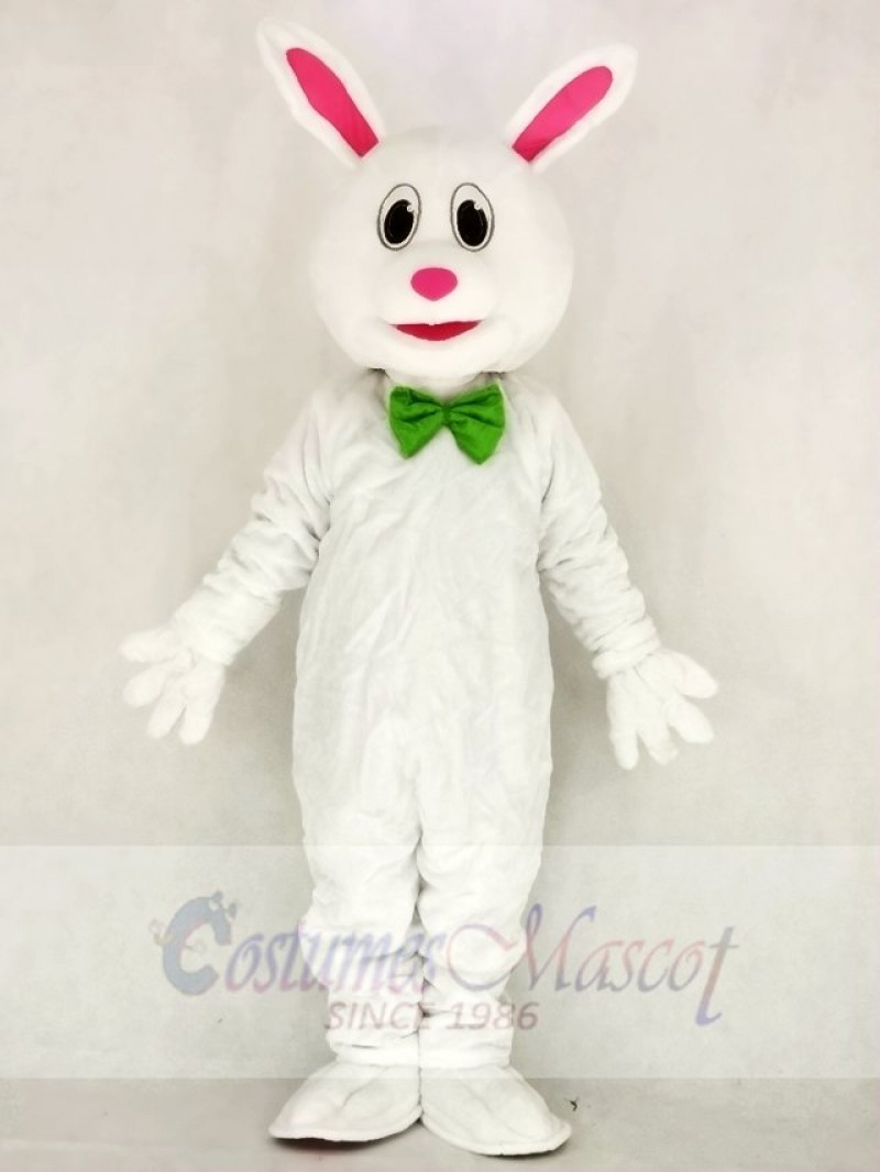 Funny Easter Bunny Rabbit Mascot Costume School 