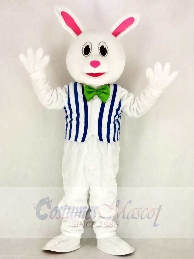 Funny Easter Bunny Rabbit with Vest Mascot Costume School 	