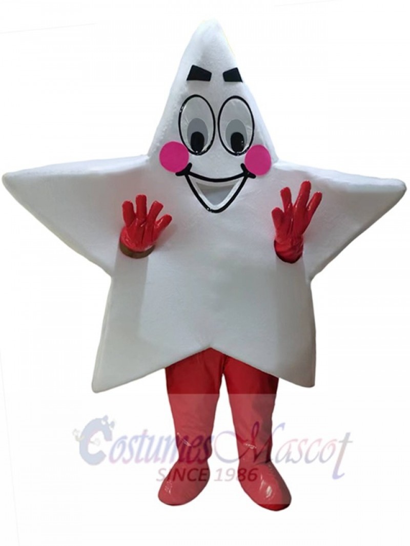 Star mascot costume