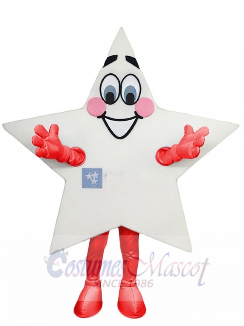 Star mascot costume