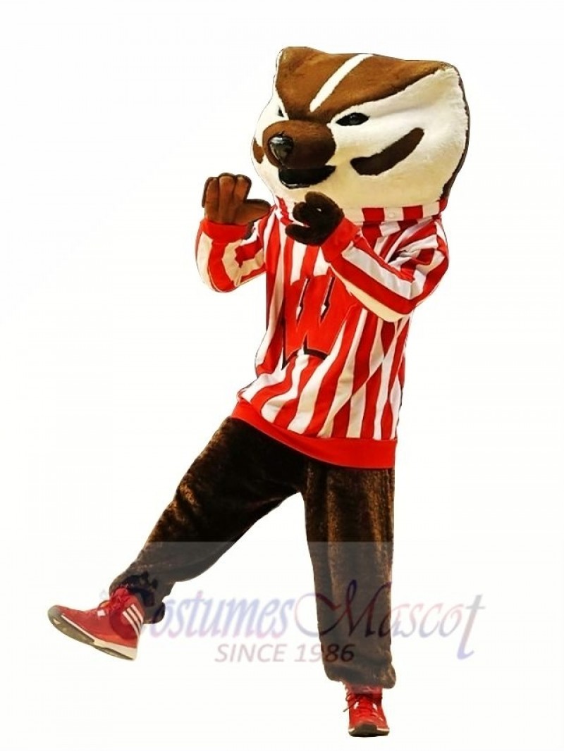 Wisconsin Badgers Mascot Costume 