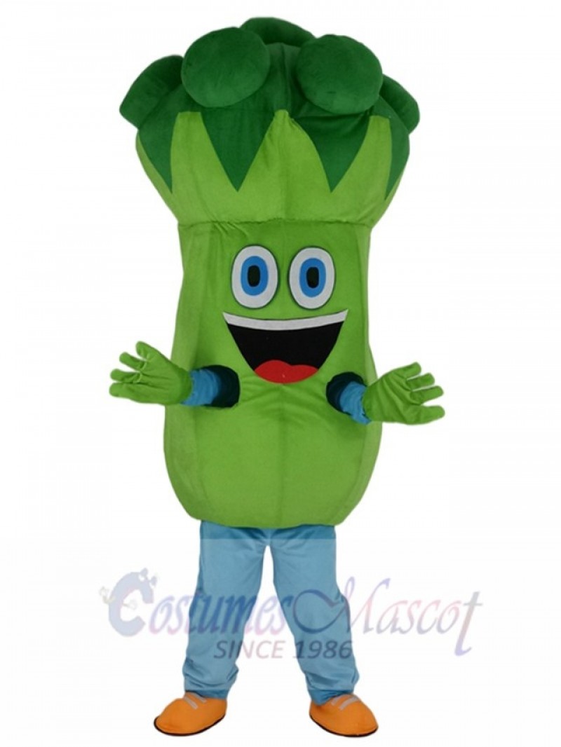Bruce Broccoli Mascot Costume Cartoon