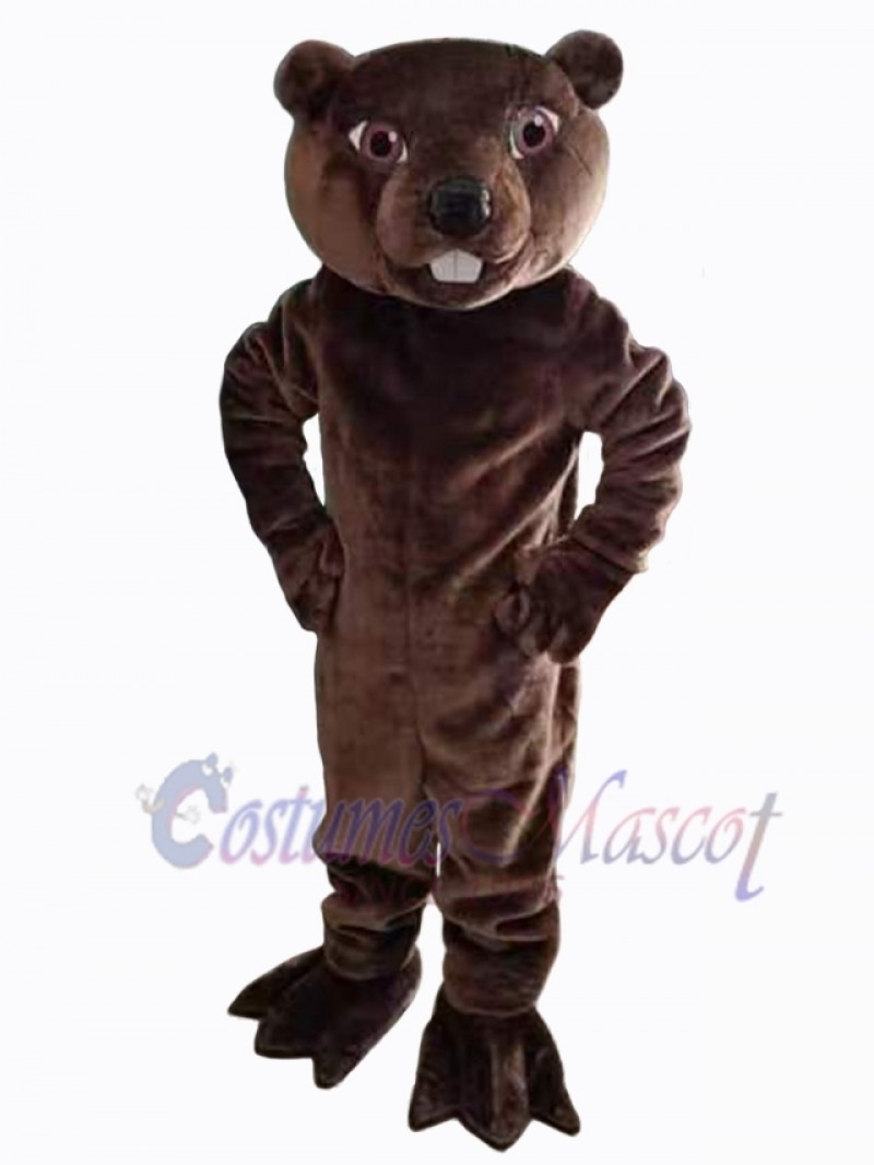 Beaver mascot costume