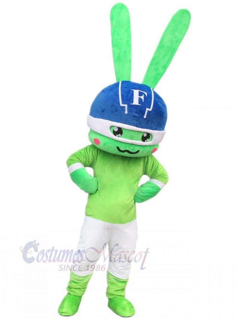 Bunny mascot costume