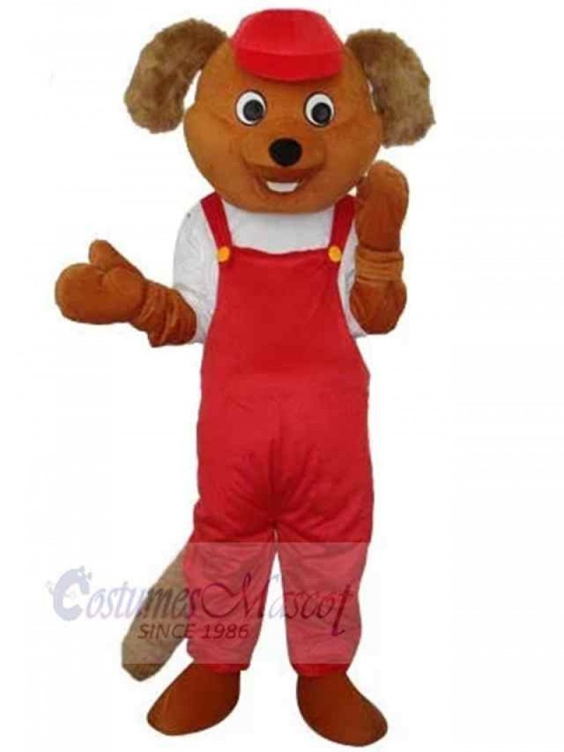 Bear mascot costume