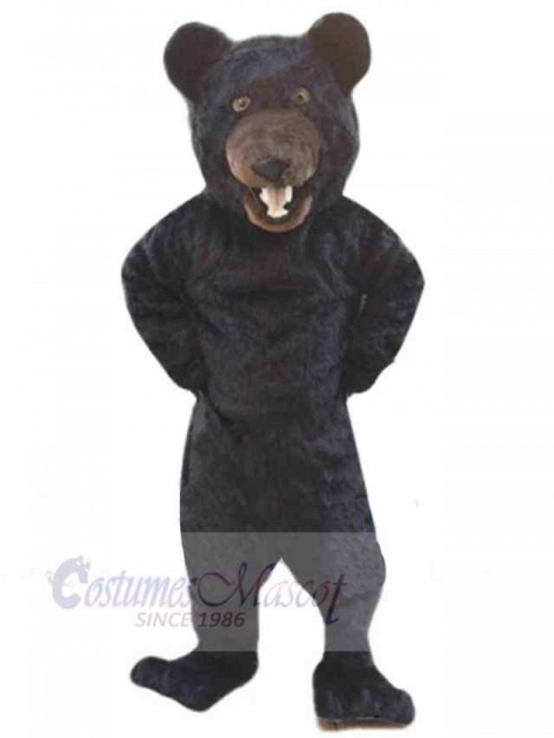Bear mascot costume