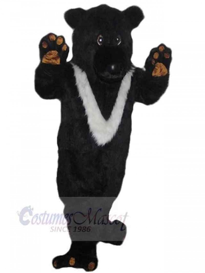 Bear mascot costume