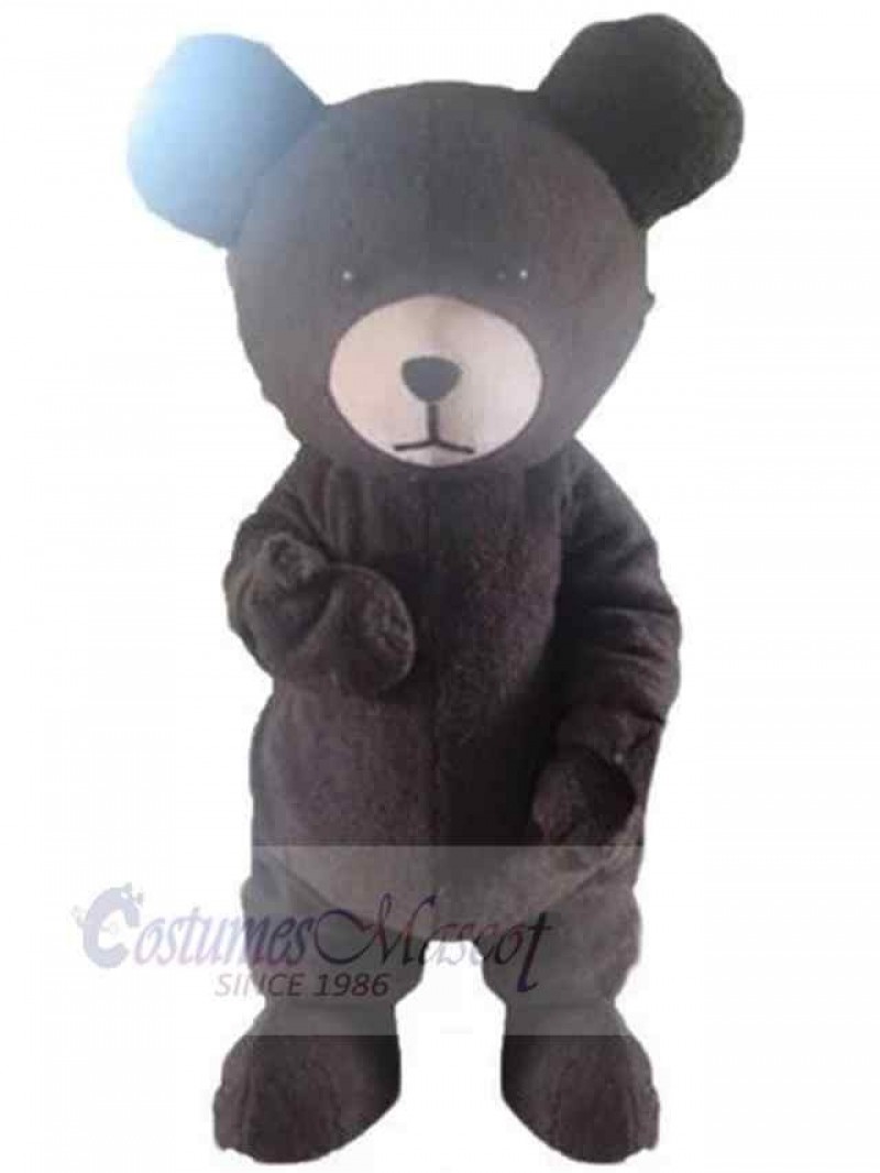 Bear mascot costume