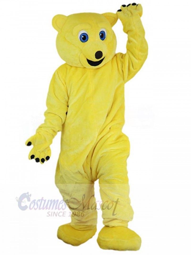 Bear mascot costume