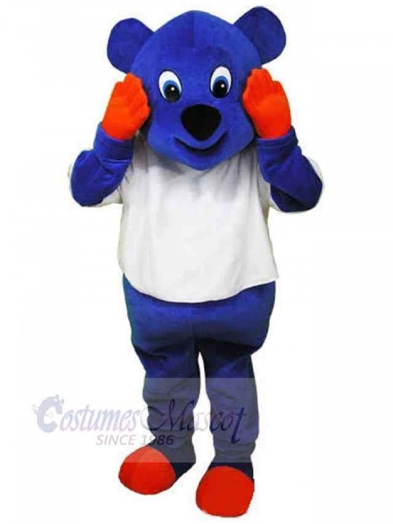 Bear mascot costume