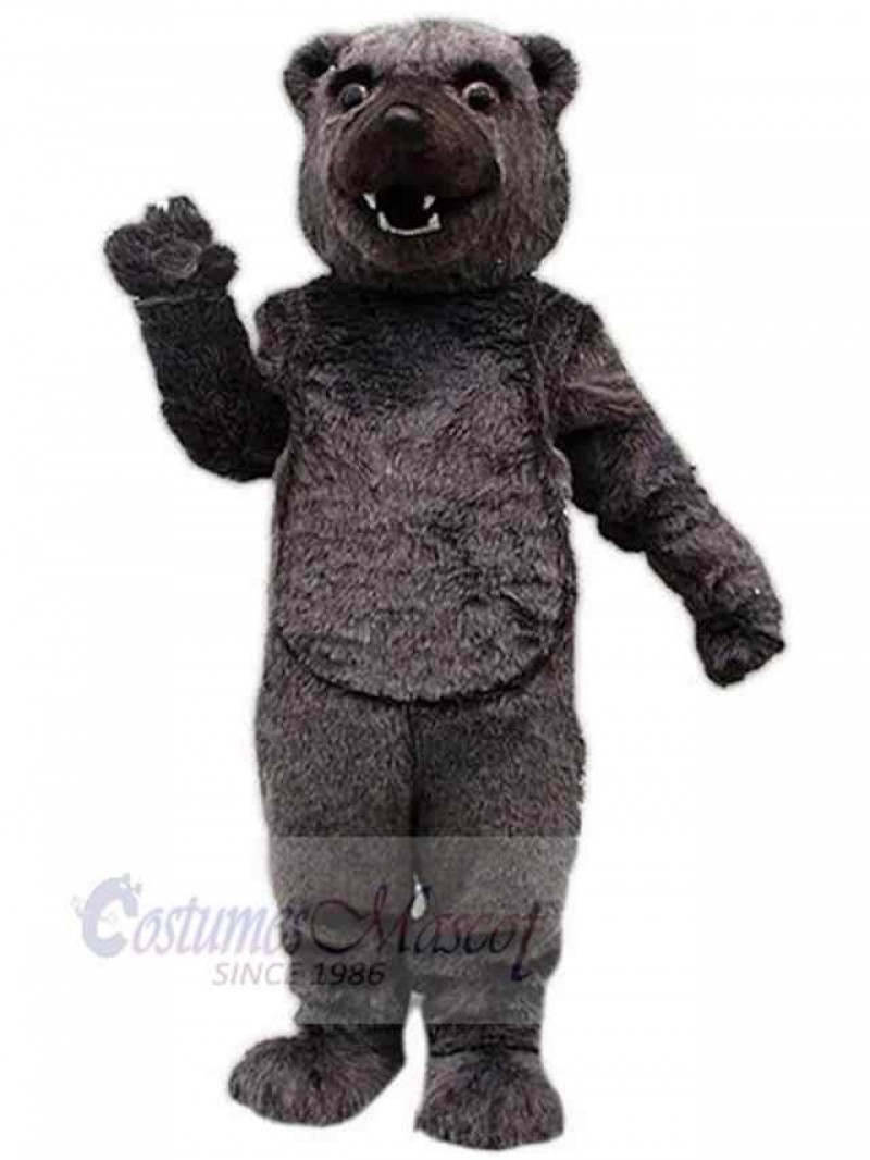 Bear mascot costume