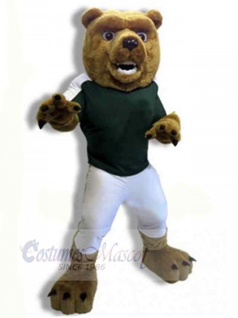 Bear mascot costume