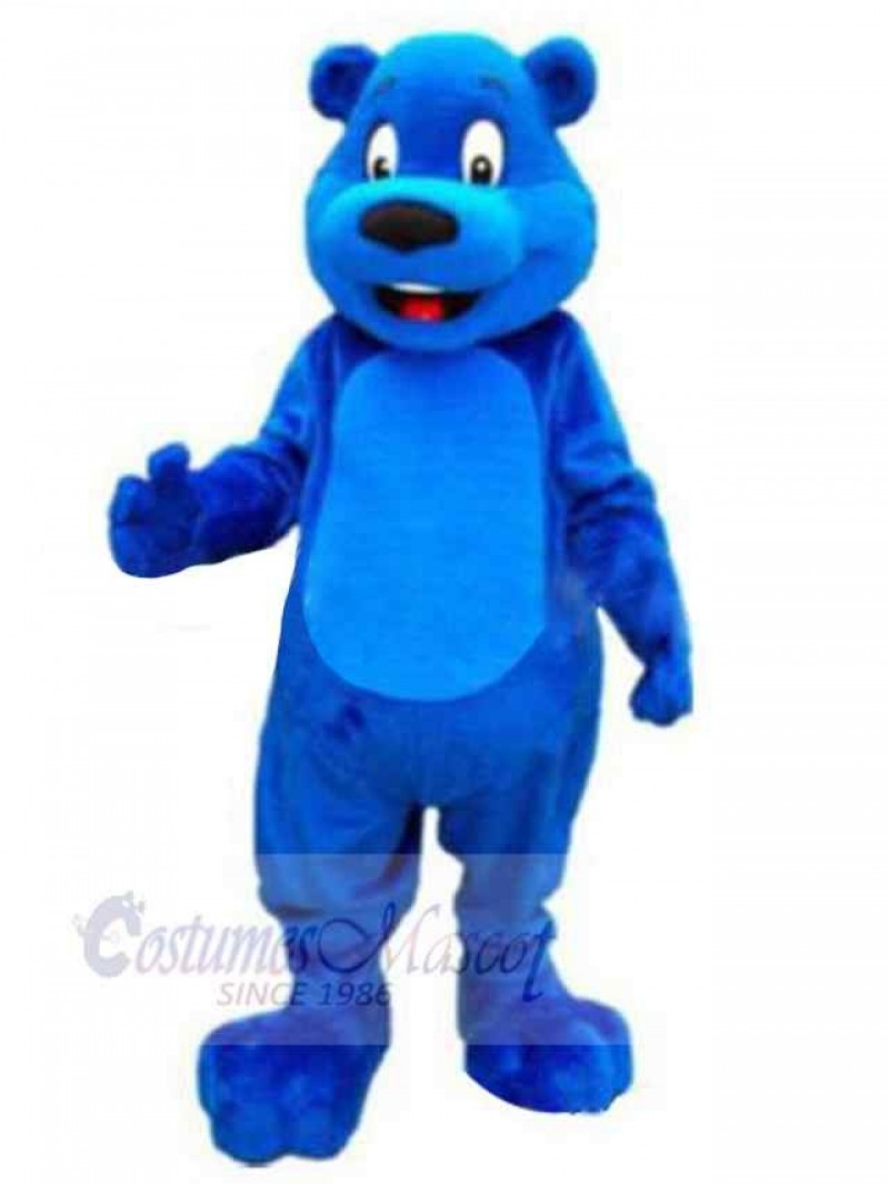 Bear mascot costume