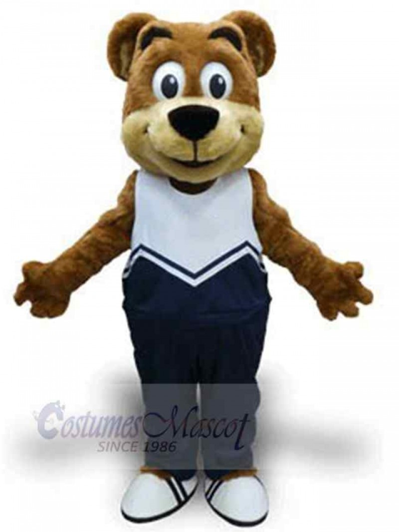 Bear mascot costume