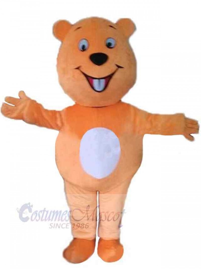 Bear mascot costume