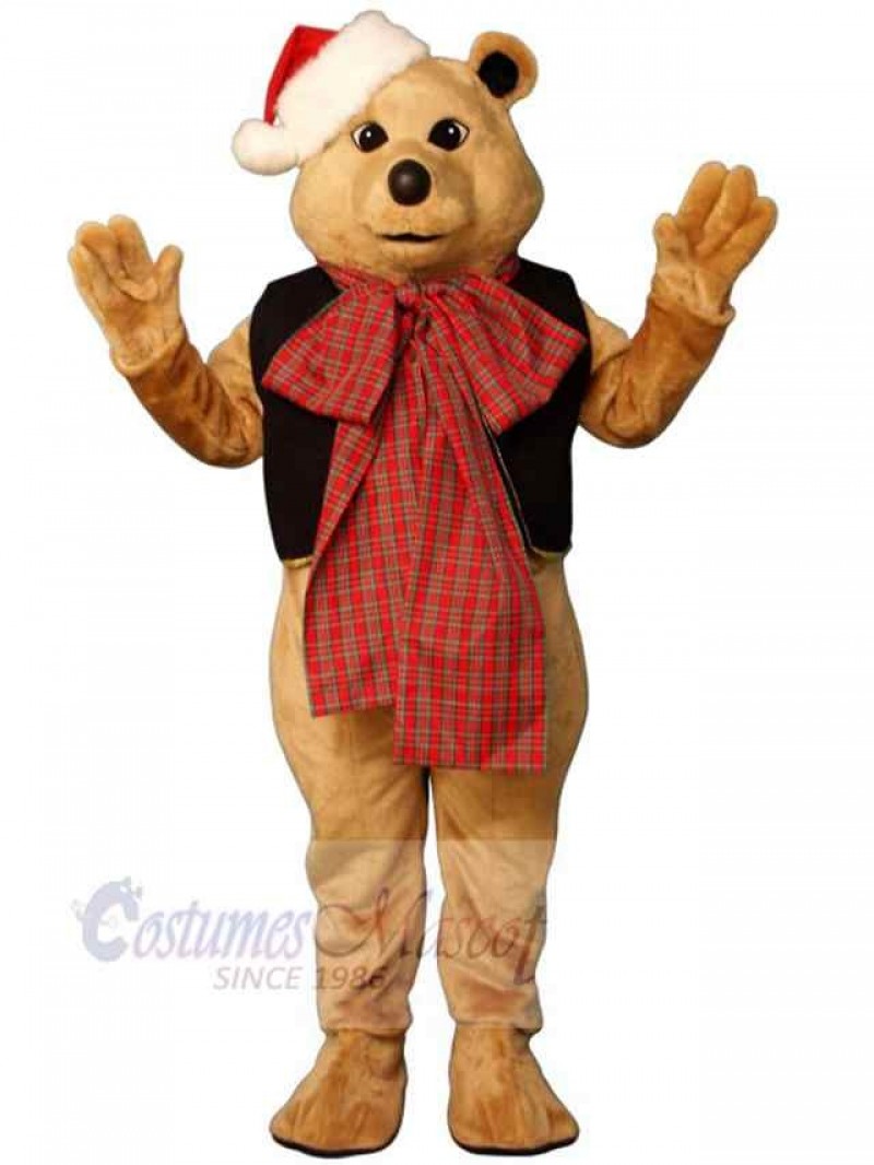 Bear mascot costume