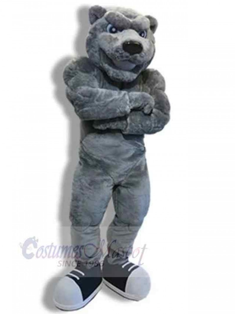 Bear mascot costume