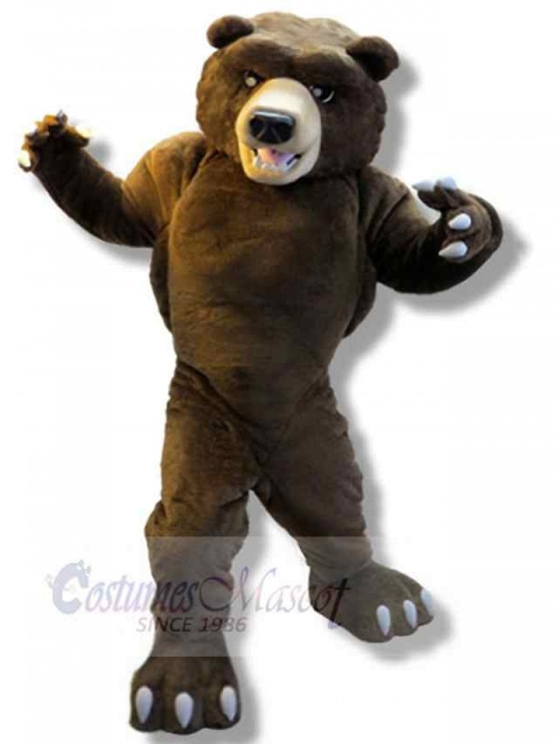 Bear mascot costume