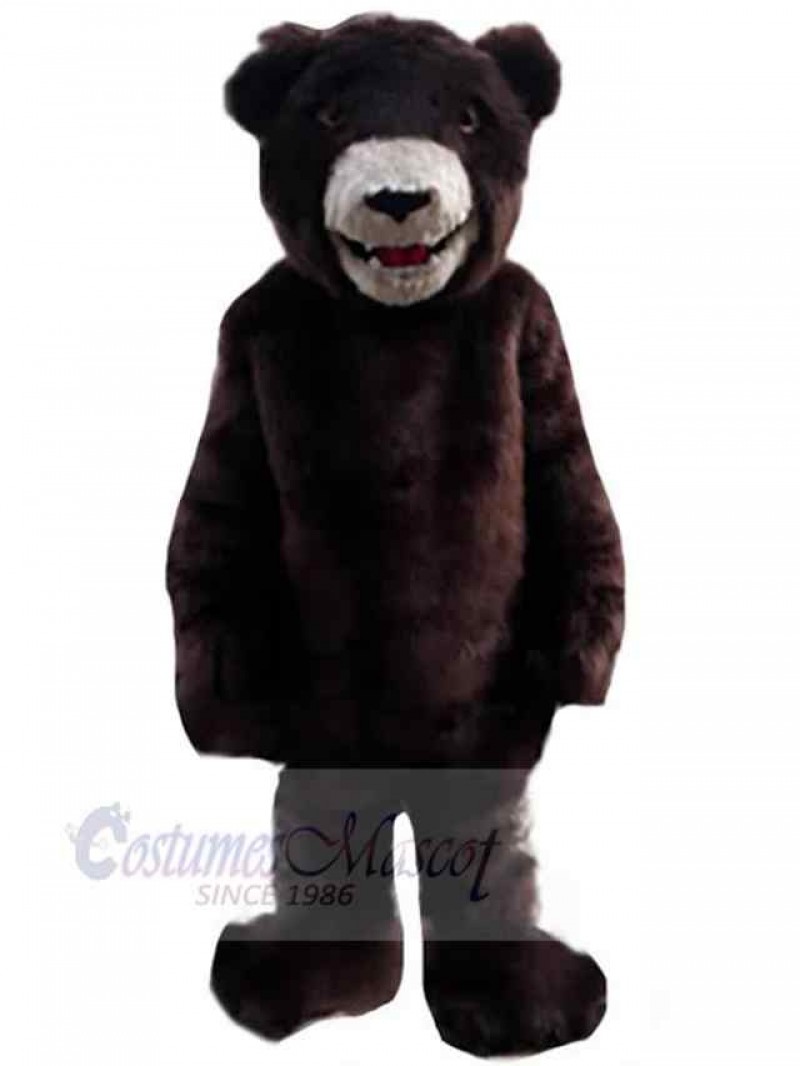 Bear mascot costume