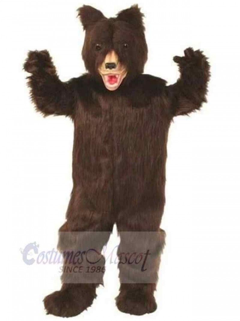 Bear mascot costume