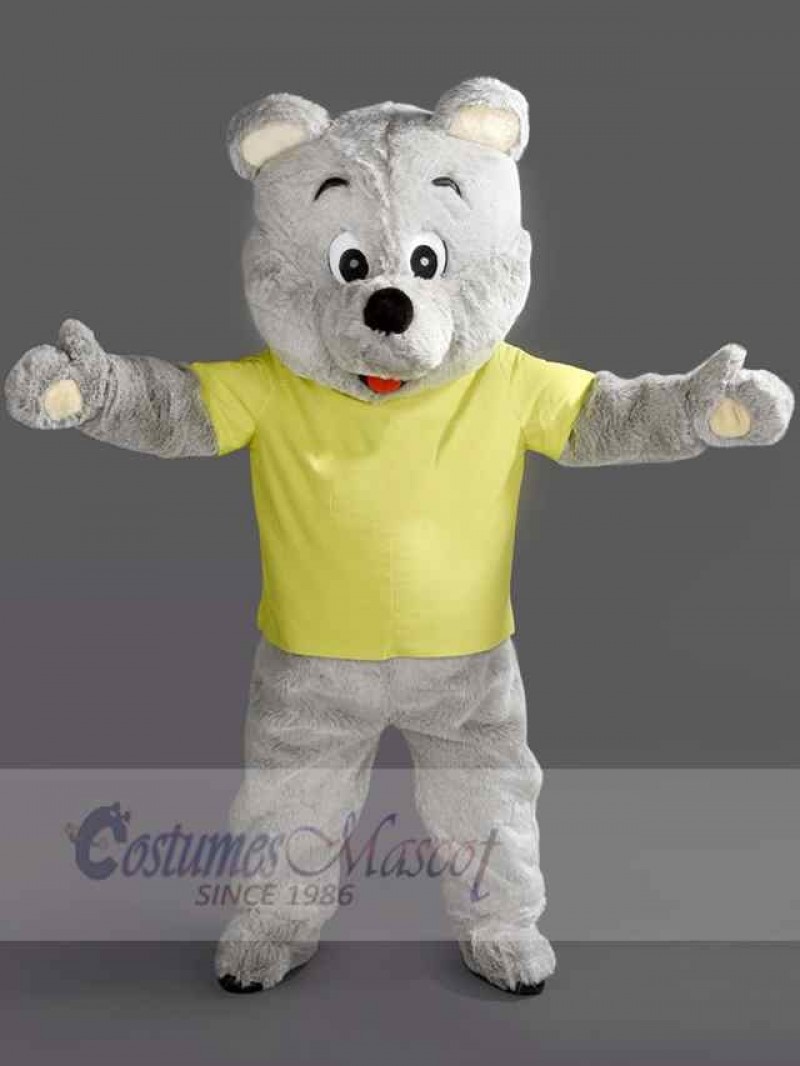 Bear mascot costume
