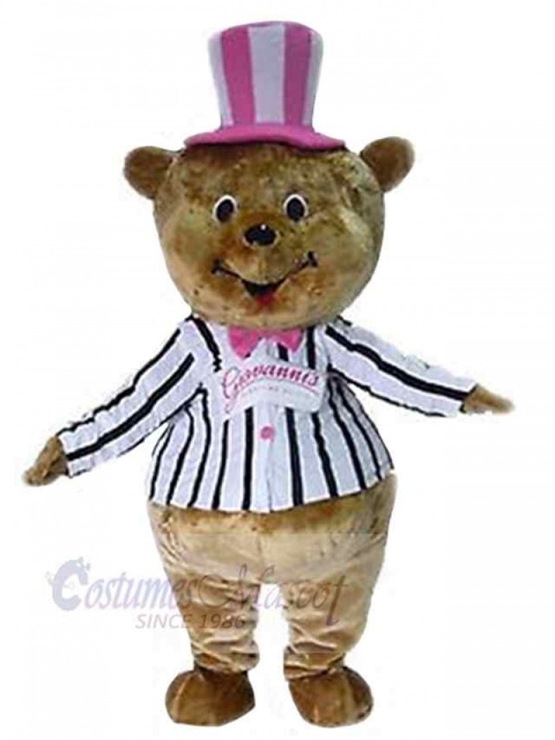 Bear mascot costume